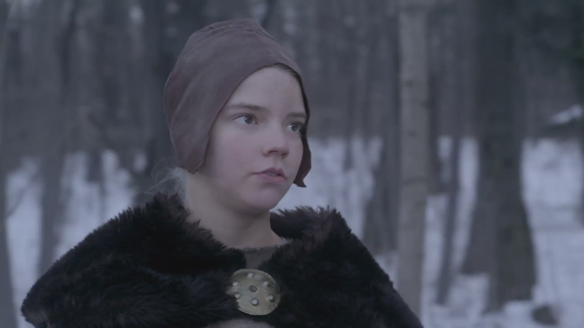 SATJ-VQ288.jpg