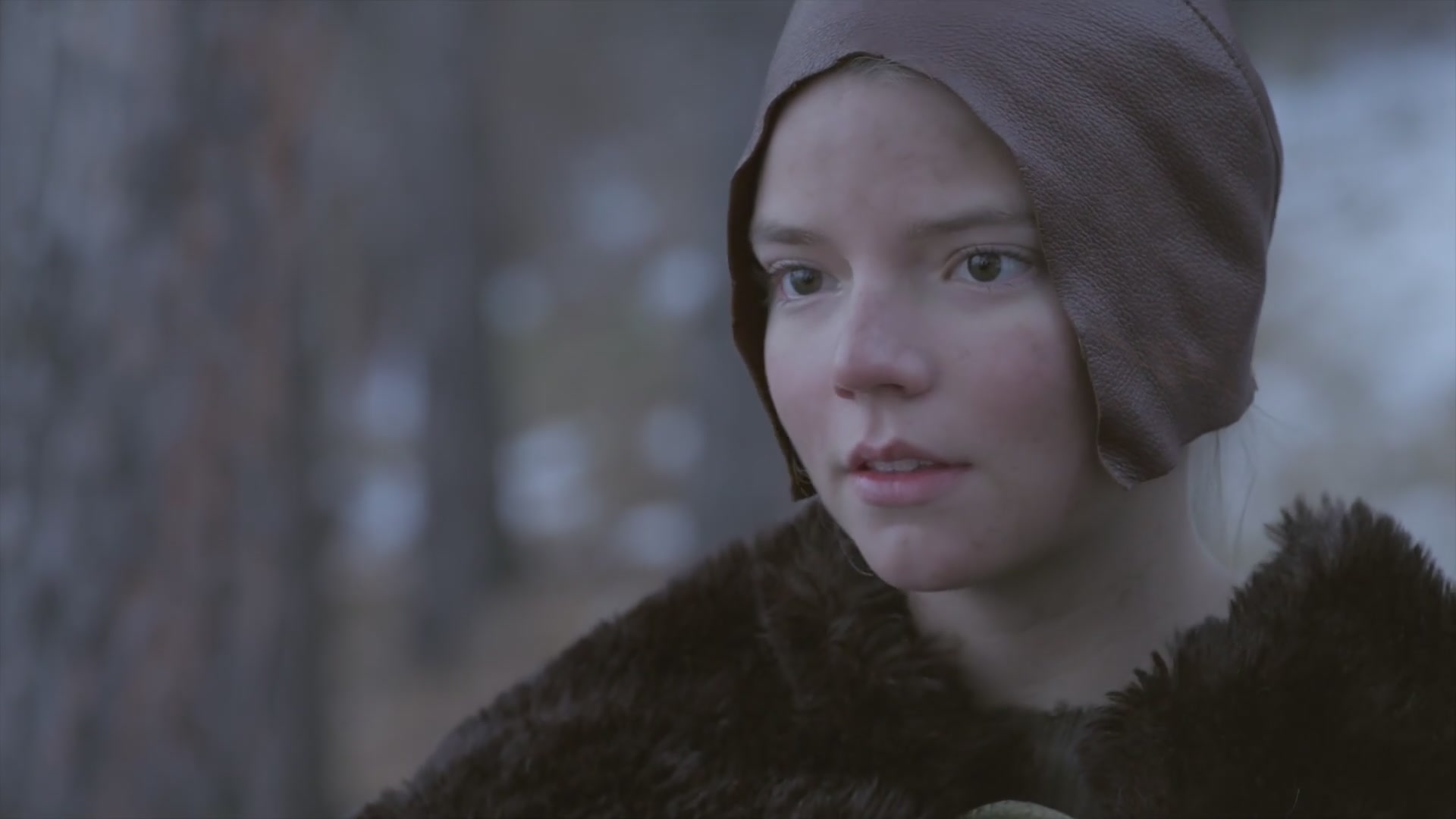 SATJ-VQ495.jpg